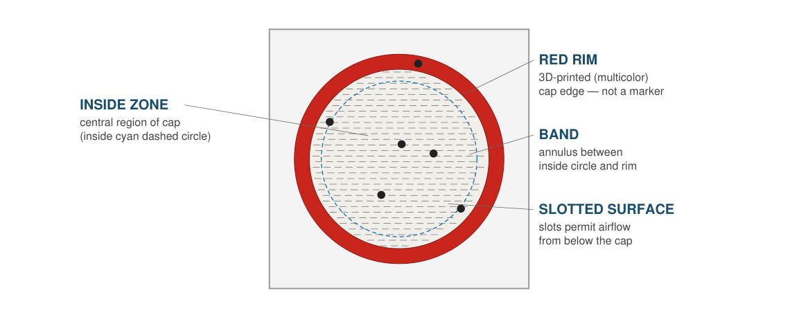 Top-down diagram of the mZero assay arena showing its inside zone, band, red rim, and slotted surface.